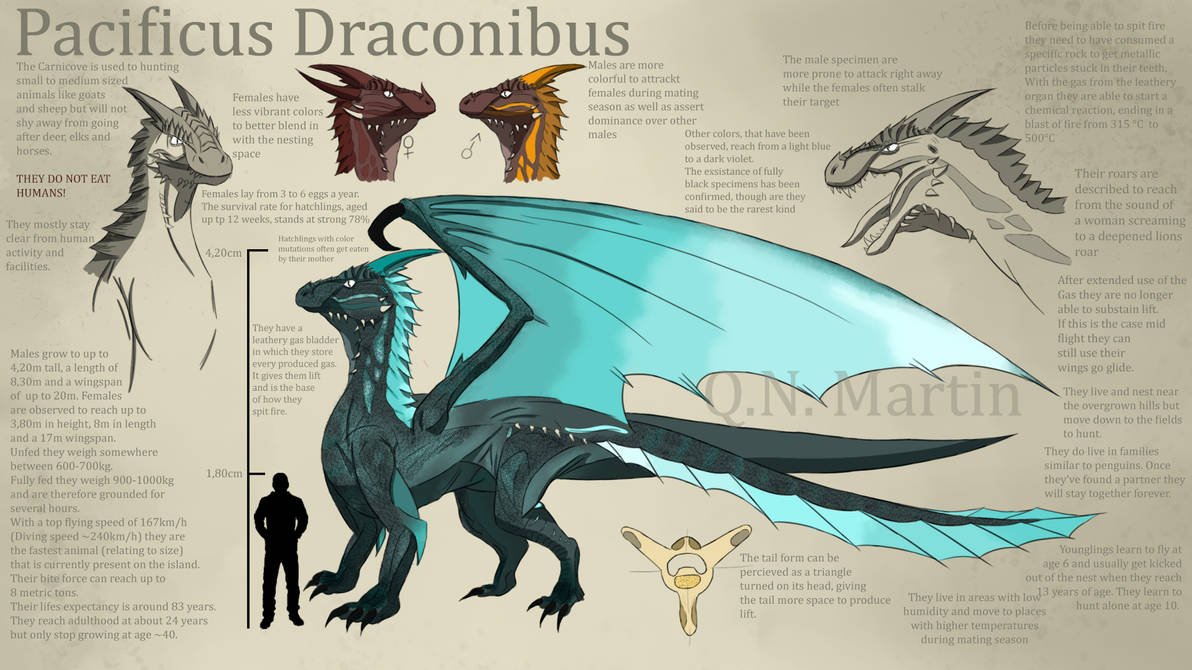 Dragon Concept Art by MutedbyDreaming on DeviantArt