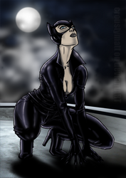 Catwoman and the Moon