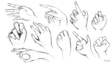 Hand Studies 2