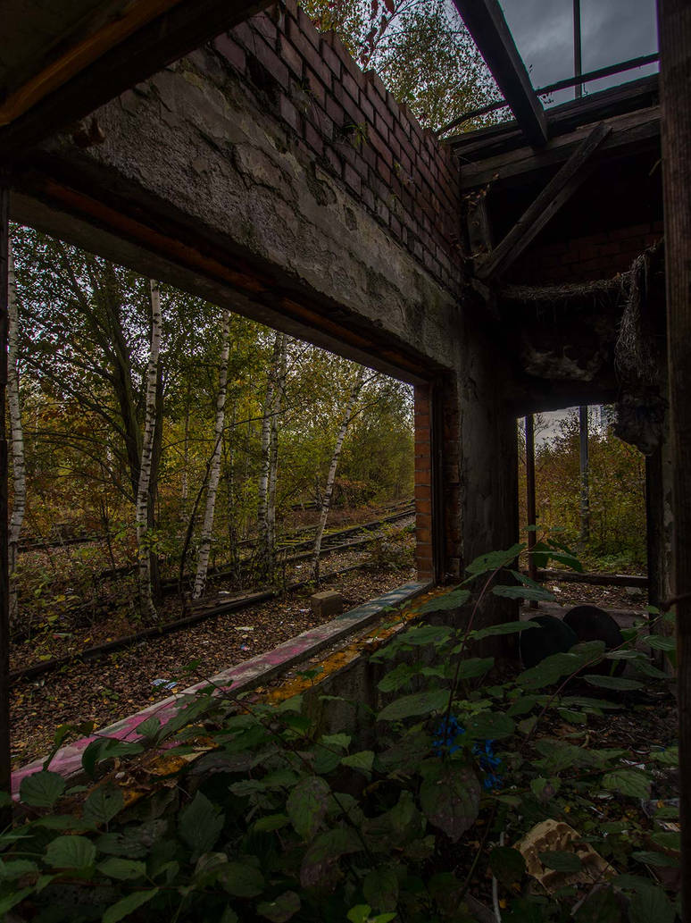 Railway Station: Window into Tangles by IanMcAllister on DeviantArt