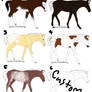 Foal Designs-FREE WOWOw