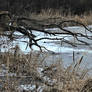 Bentler's Pond Is Frozen