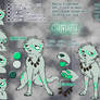 Conuri Reference Sheet 2010