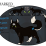 Ravenstar of RiverClan