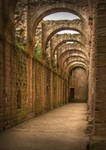 Abbey Arches by SkankinMike