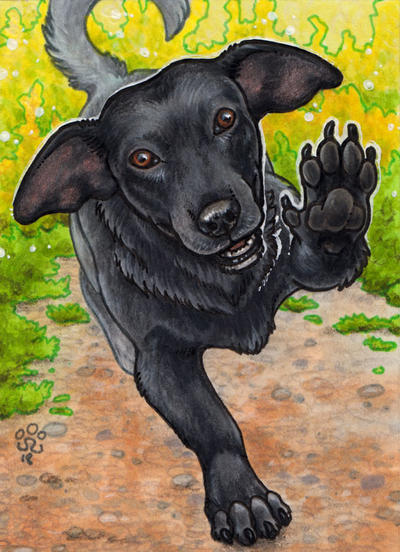 ACEO - Franek by BloodhoundOmega