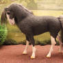 OOAK Felt fabric model horse