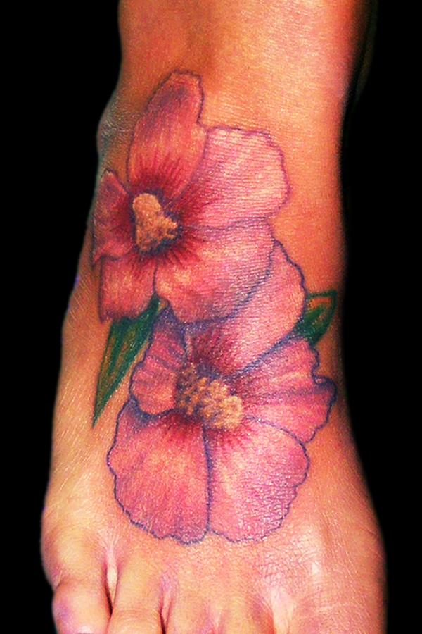 korean national flower by zradkins on DeviantArt korean national flower by zradkins on DeviantArt