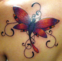 Dragonfly: back shoulder