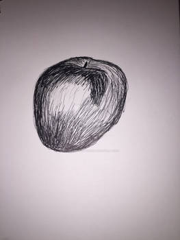 Ink drawn apple