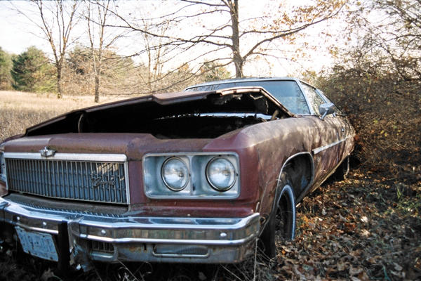 Caprice Classic by jswhipplephotos on DeviantArt