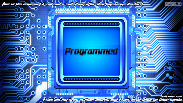 Programmed (Blue Version)- Hebrews 10:16