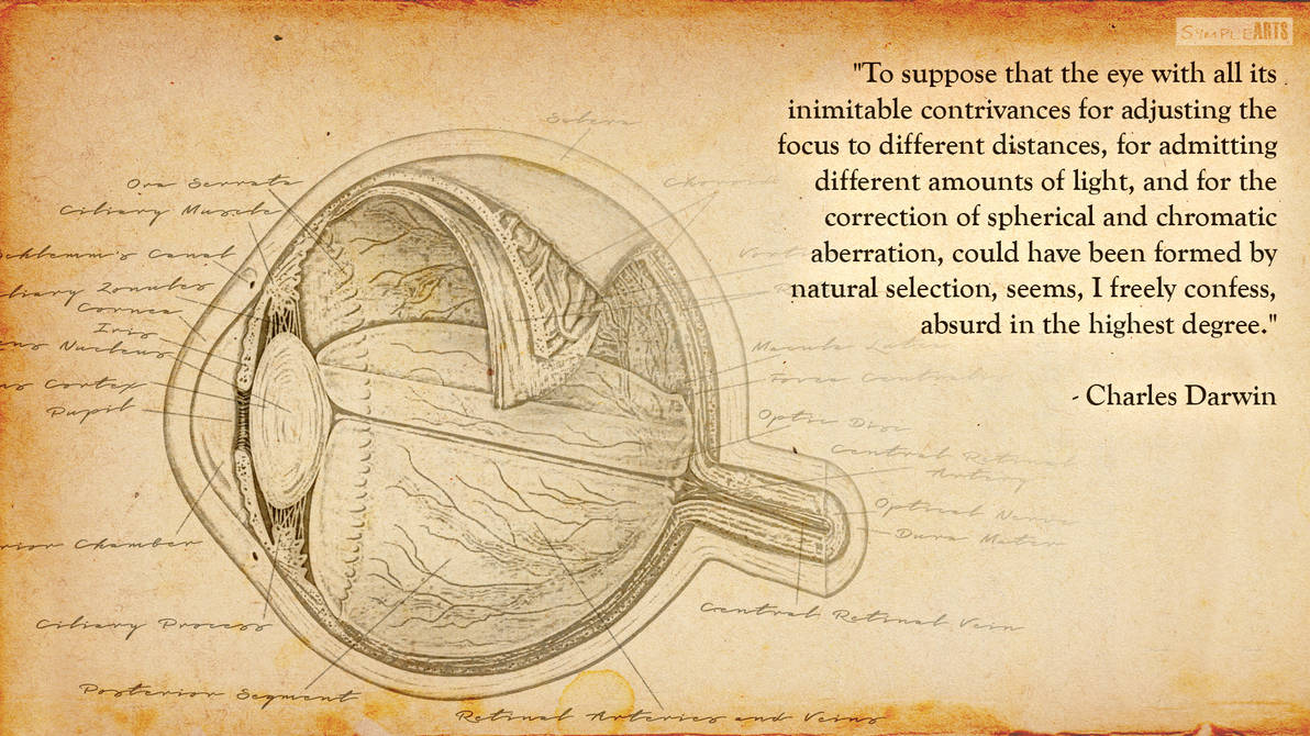 Common Sense by Charles Darwin by SympleArts