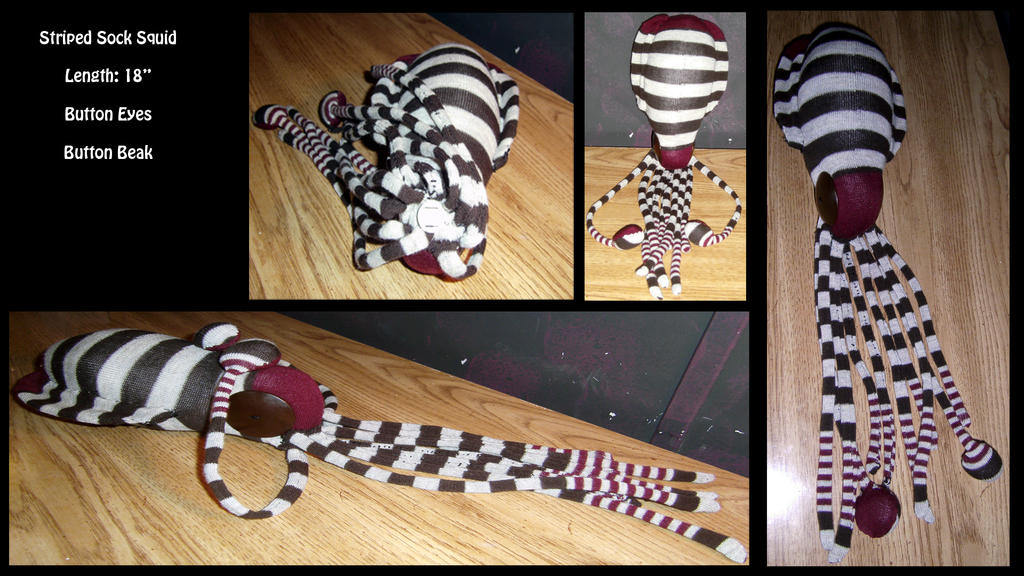 Striped Sock Squid