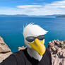 A Gull Goes Hiking