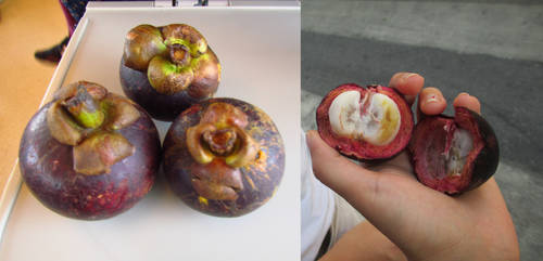 Shanghai fruit