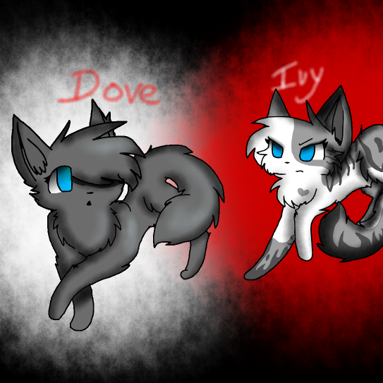 Ivypool and Dovewing