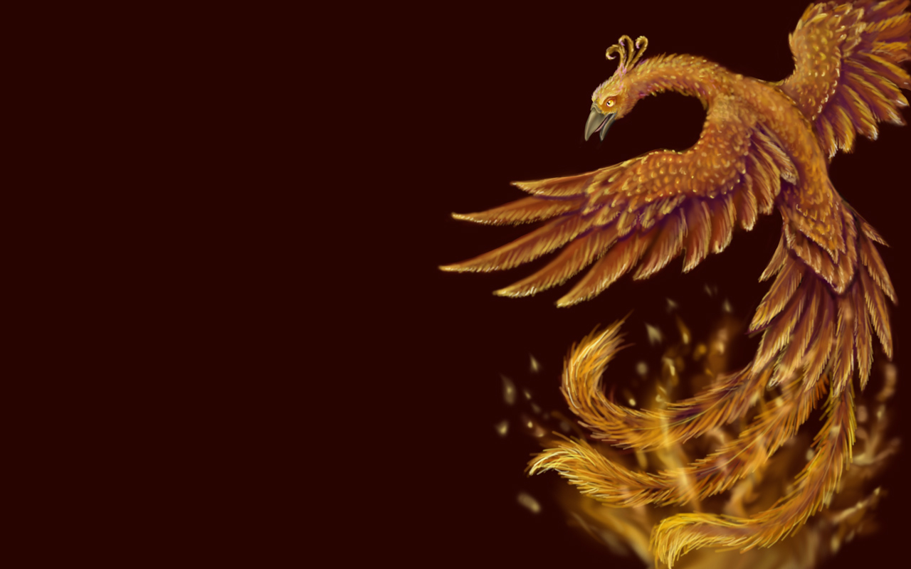 Phoenix Wallpaper by Aurinona on DeviantArt Phoenix Wallpaper by Aurinona on DeviantArt