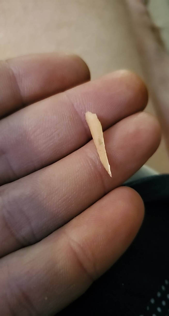 Infevted Splinter Splinter i removed by kiralovech on DeviantArt
