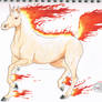 Rapidash - Practice