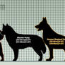 Ginga Breed Size Chart WIP