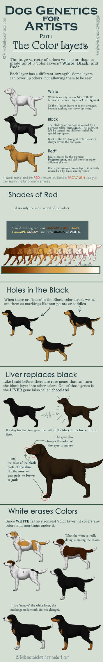 Dog Colors for Artists- part 1 by nekonotaishou on DeviantArt