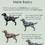 Dog Colors for Artists- part 2