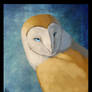 Blue Eyed Barn Owl