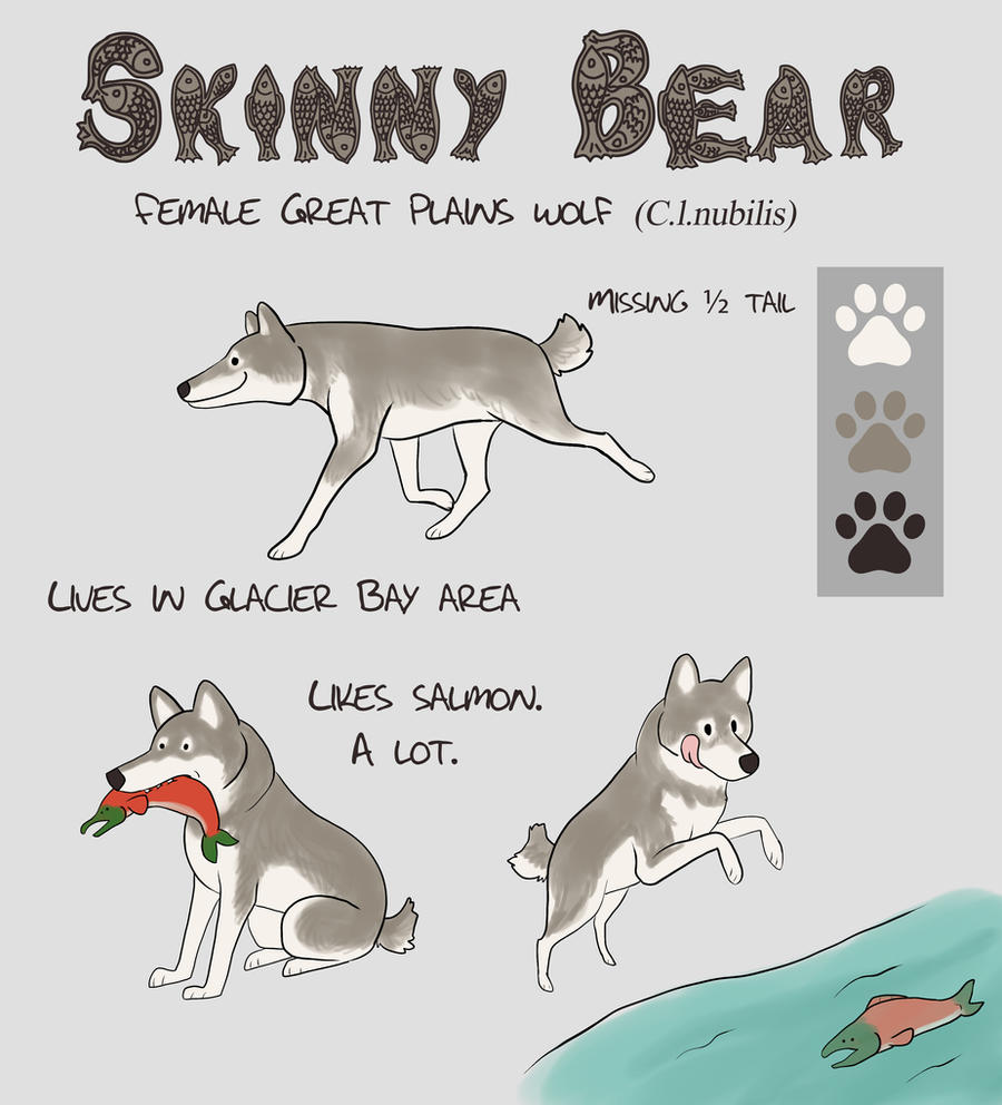 Skinny Bear Ref Sheet