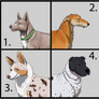 Dog Designs auction- link in artists comment