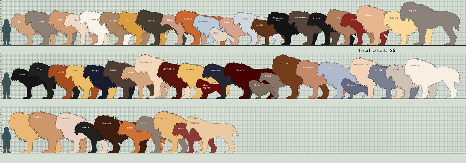 Tokota Size Chart by nekonotaishou Tokota Size Chart by nekonotaishou
