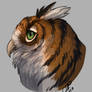 Tiger owl