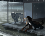 Rainy days and visiting friends by nekonotaishou