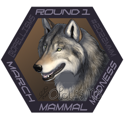 MMM 2022 Grey Wolf R1