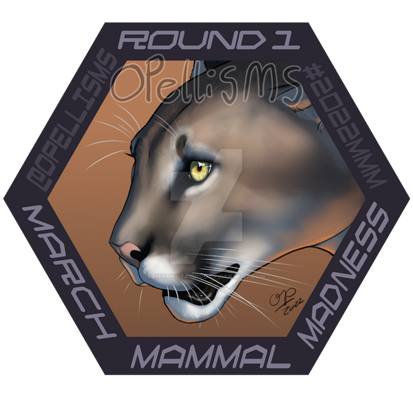 MMM 2022 Puma R1 by nekonotaishou on DeviantArt