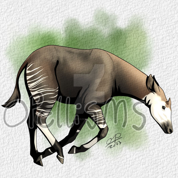 MMM 2023 Okapi R4 by nekonotaishou on DeviantArt