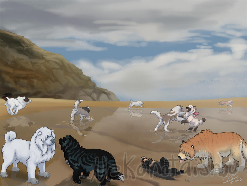 Tokos - show your heART by nekonotaishou on DeviantArt