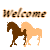 Welcome Horse