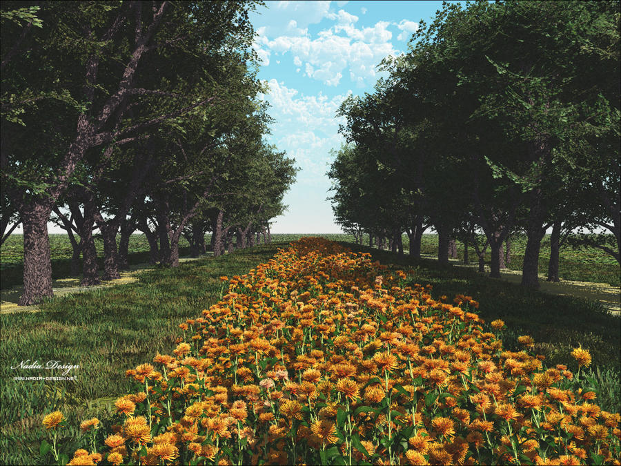 Flowers Road