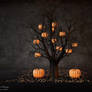 pumpkin tree