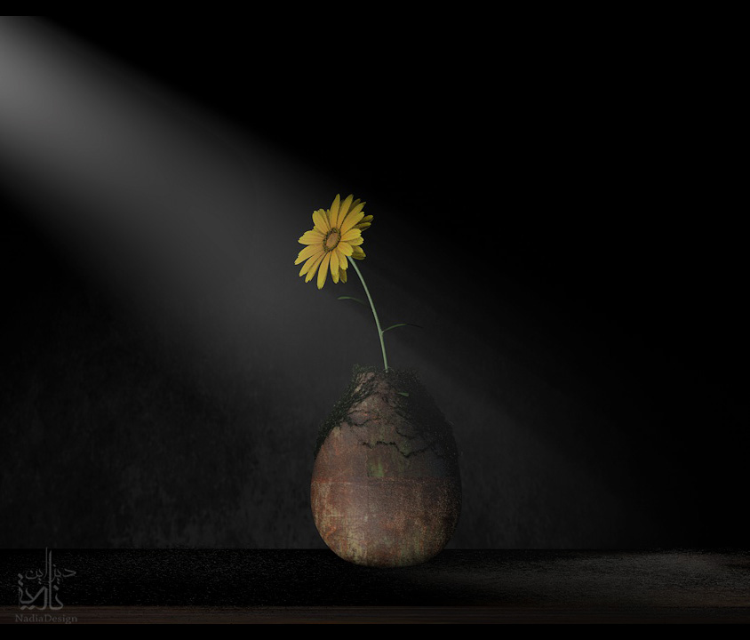 searchig for light by Nadia-design