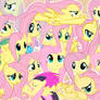 So Many Fluttershy Wallpaper