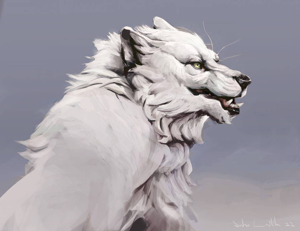 Wolf by juholaitila on DeviantArt