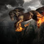 Wild Force