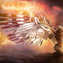 The Valkyrie