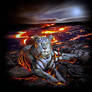 Tiger of Fire