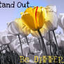 Stand Out...