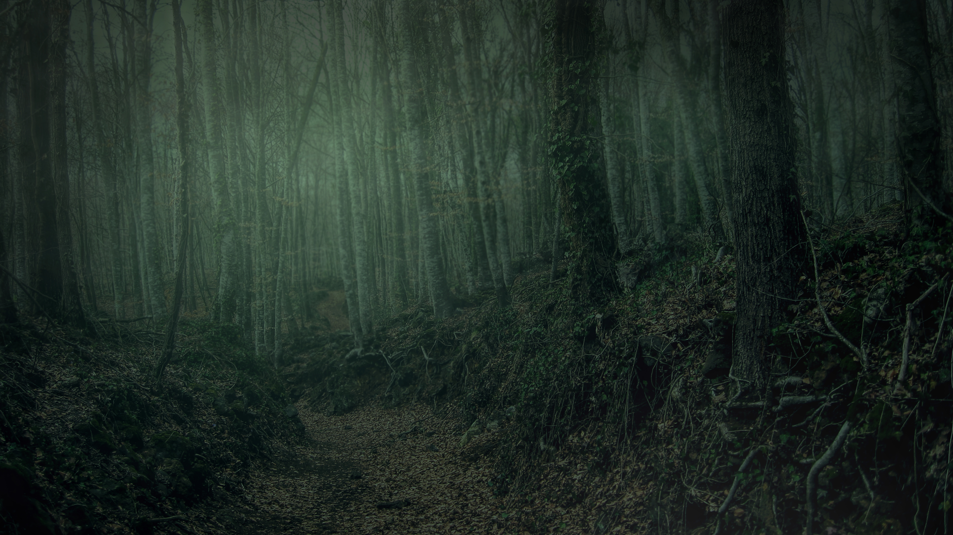 Dark Forest