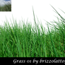 Grass 01