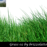 Grass 02